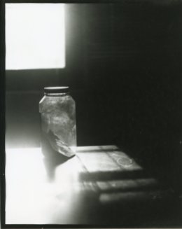 Contact print from paper negative